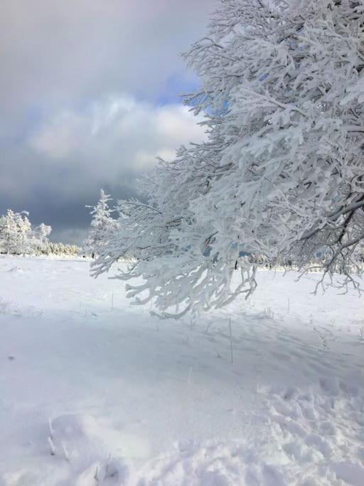 Ferienwohnung Anna Winterberg Luaran gambar